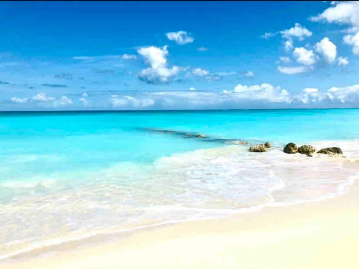 Private Poolside, Loft-like With Panoramic Grace Bay Views, Walk To Beach, Restaurants, & Marina! Apartment