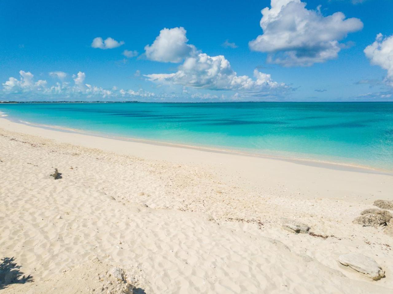 Private Poolside, Loft-like With Panoramic Grace Bay Views, Walk To Beach, Restaurants, & Marina! Apartment Turtle Cove