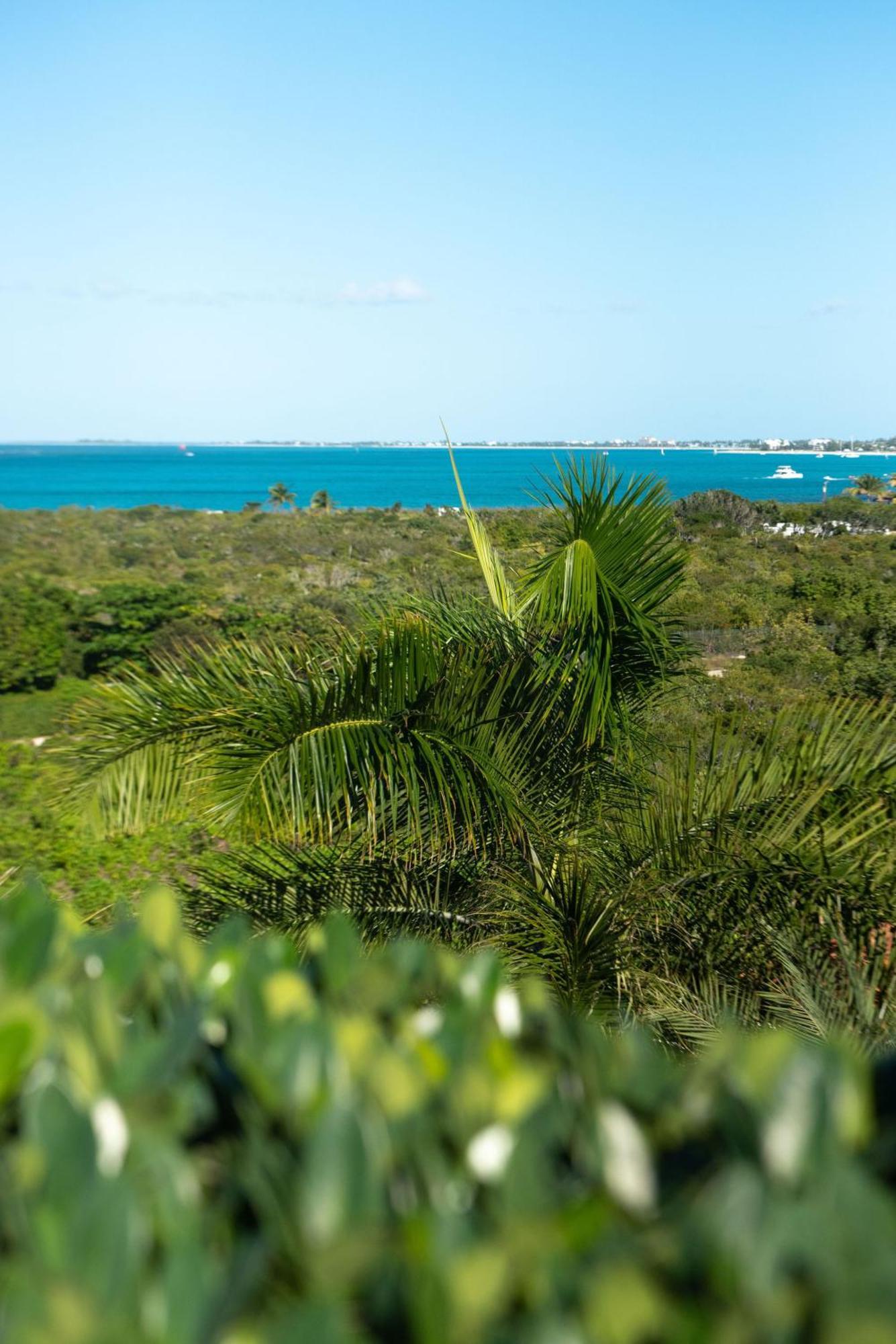 Apartment Private Poolside, Loft-like With Panoramic Grace Bay Views, Walk To Beach, Restaurants, & Marina! Turtle Cove