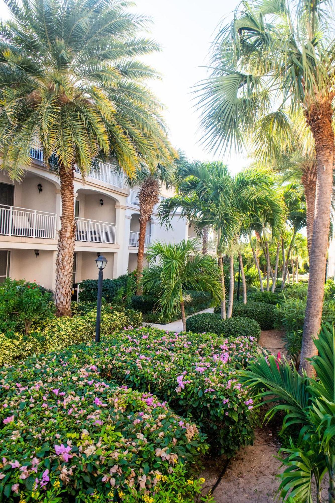 Apartment Private Poolside, Loft-like With Panoramic Grace Bay Views, Walk To Beach, Restaurants, & Marina! *
