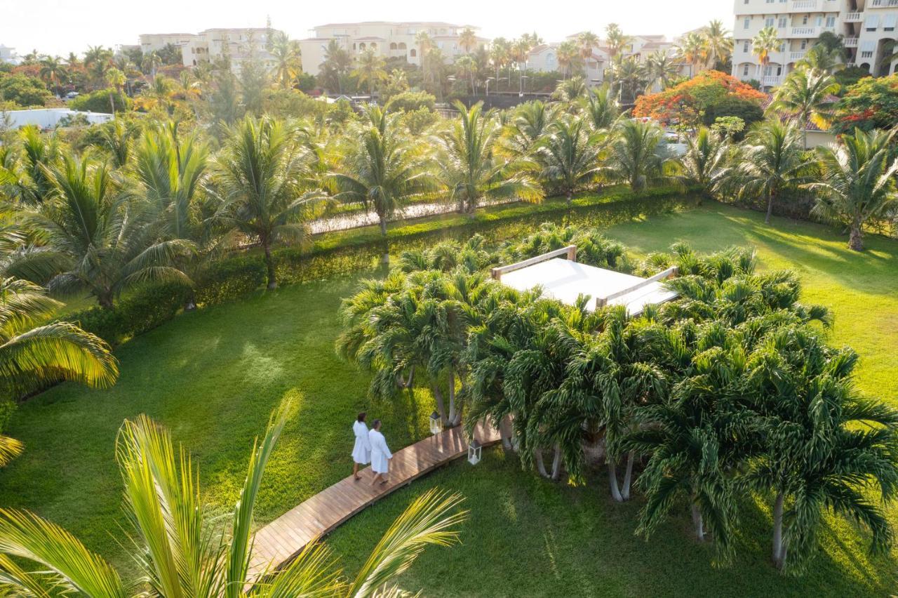 The Oasis At