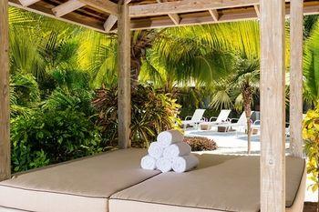 The Oasis At