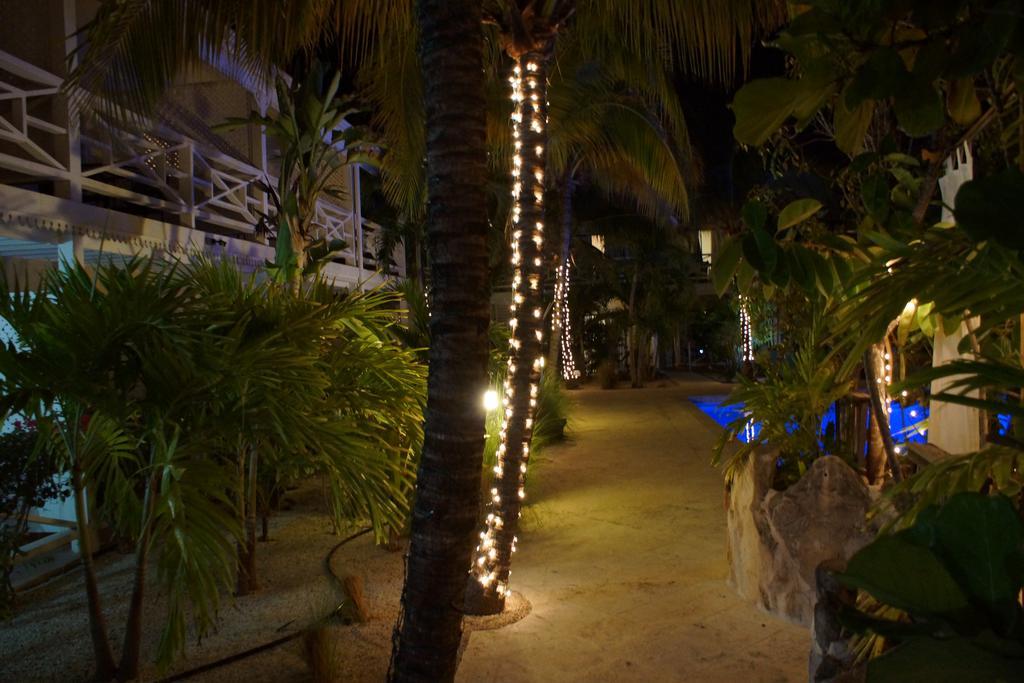 Hotel Caribbean Paradise