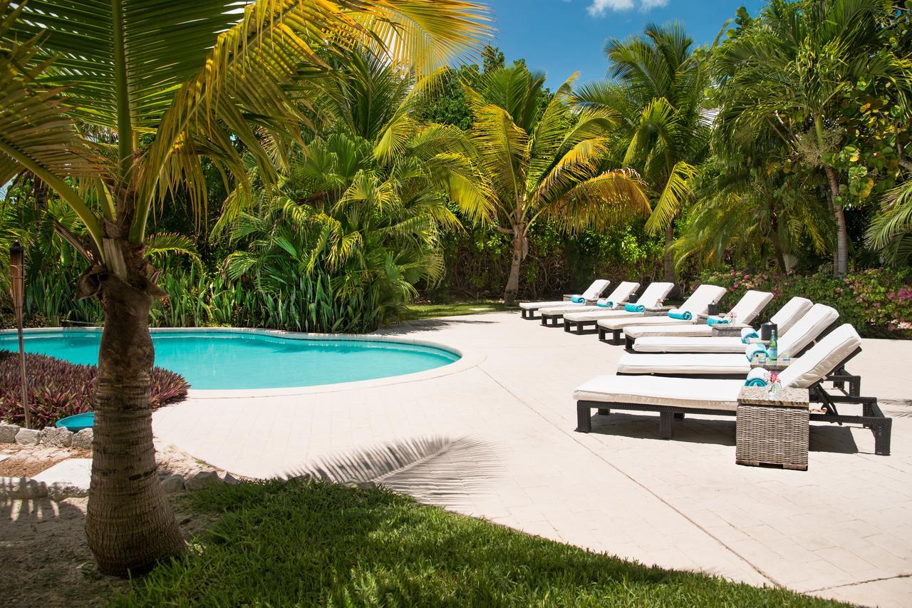 The Oasis At Hotel 3*