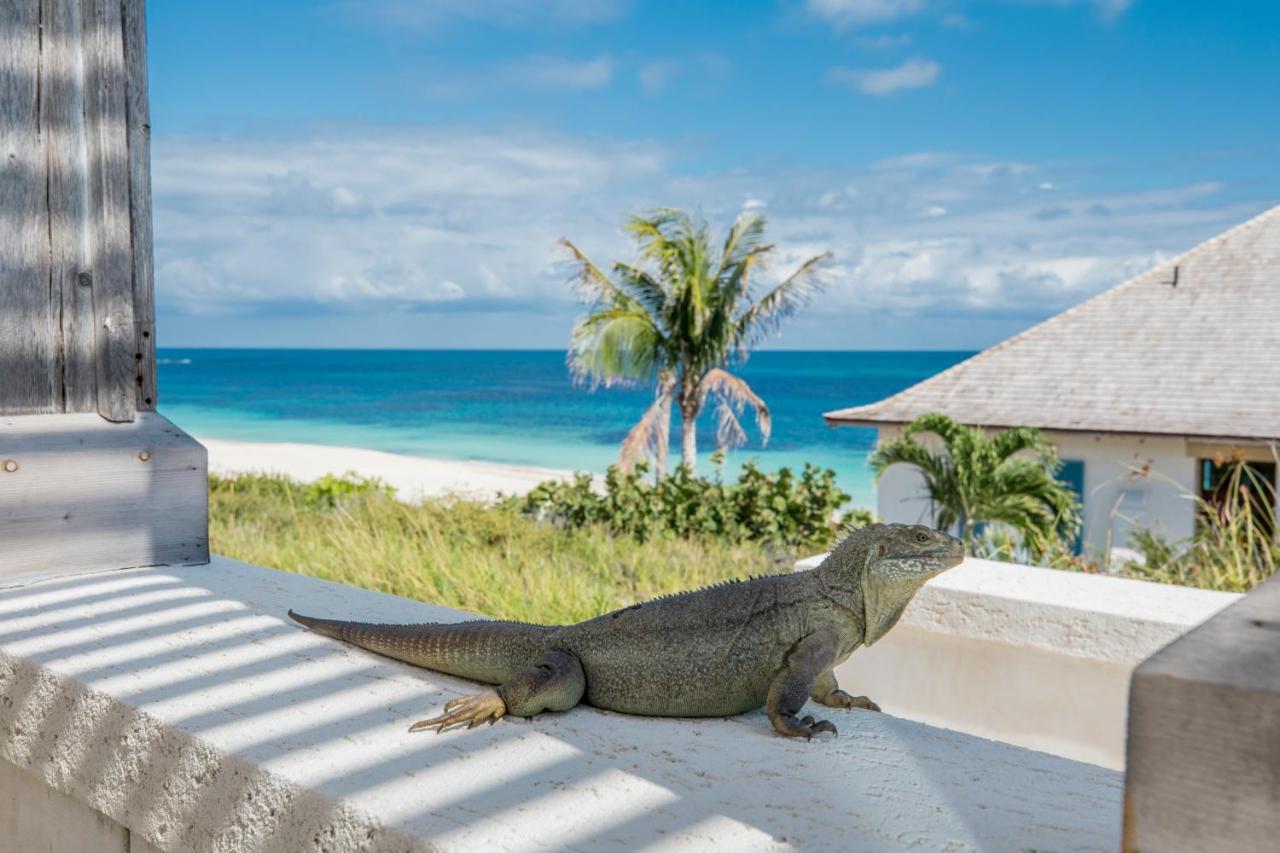 Resort Ambergris Cay Private Island - Pls Island Hopper Flight Included 5*