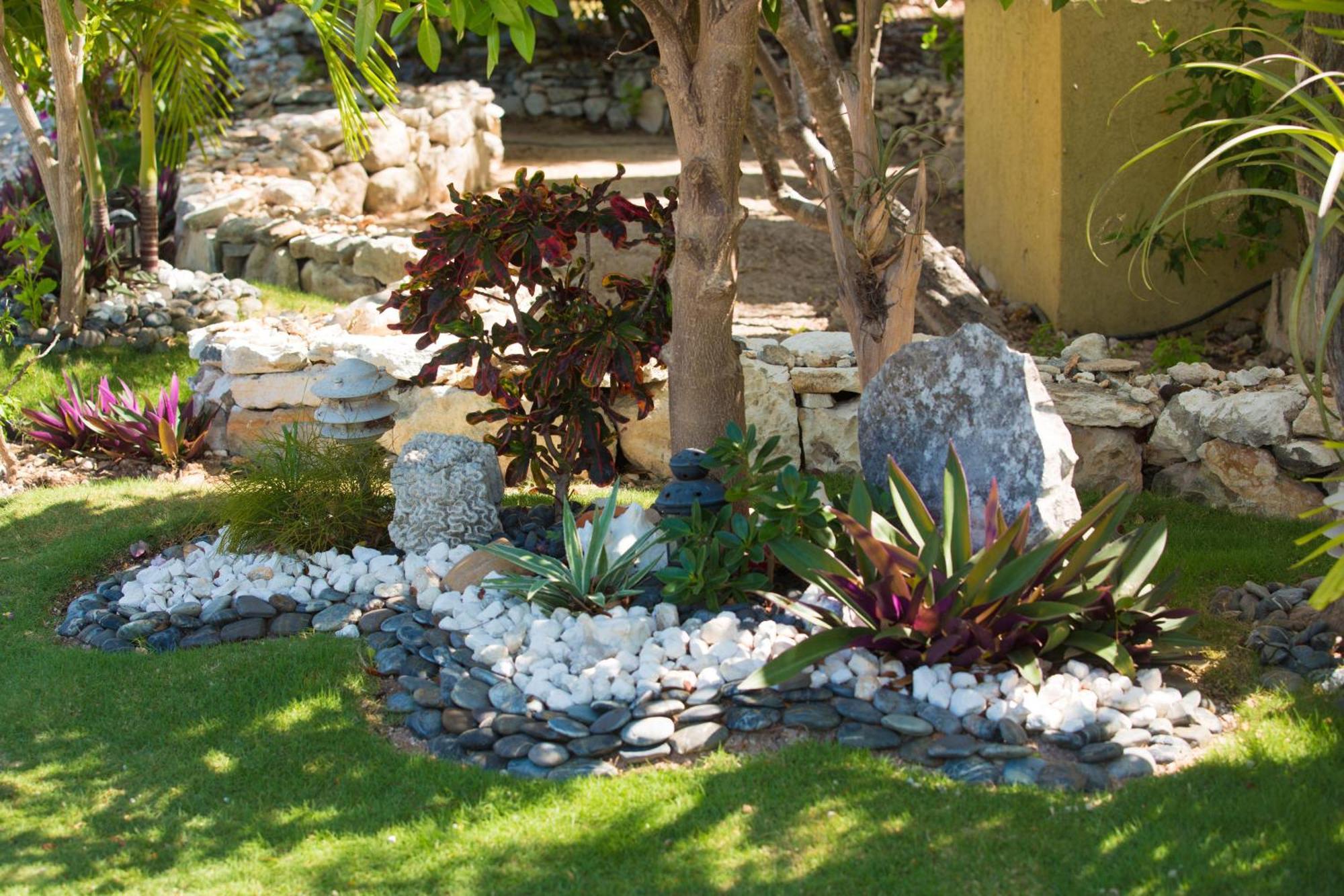 Kokomo Botanical - Caribbean Family Turtle Cove