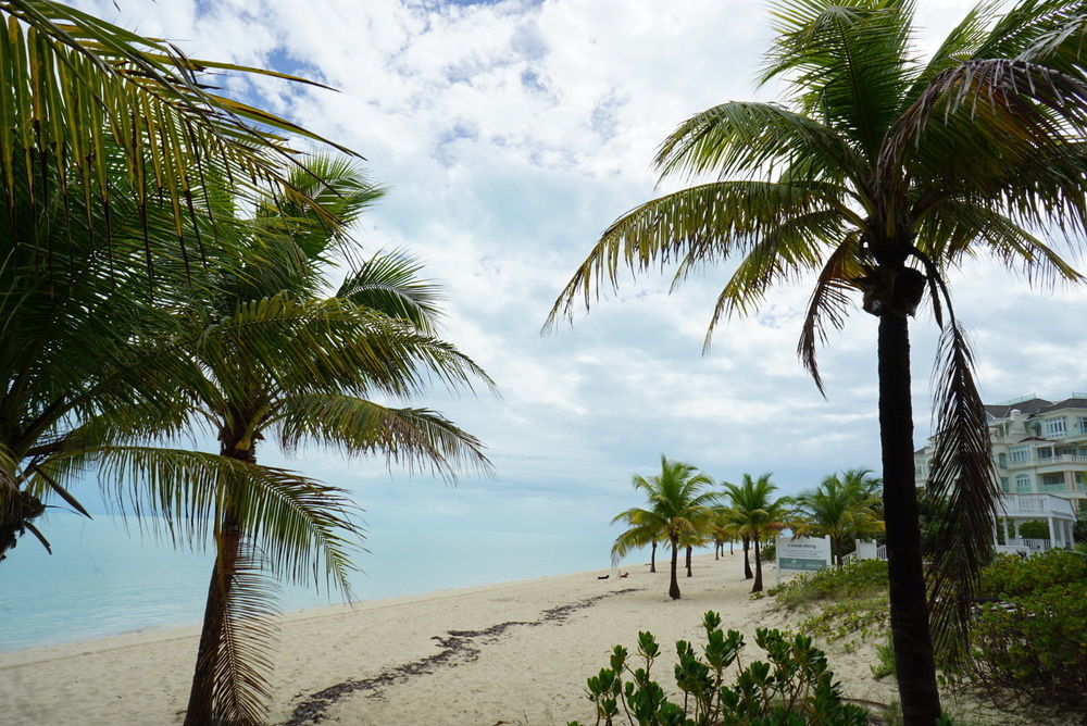 Renaissance Hotel Grace Bay