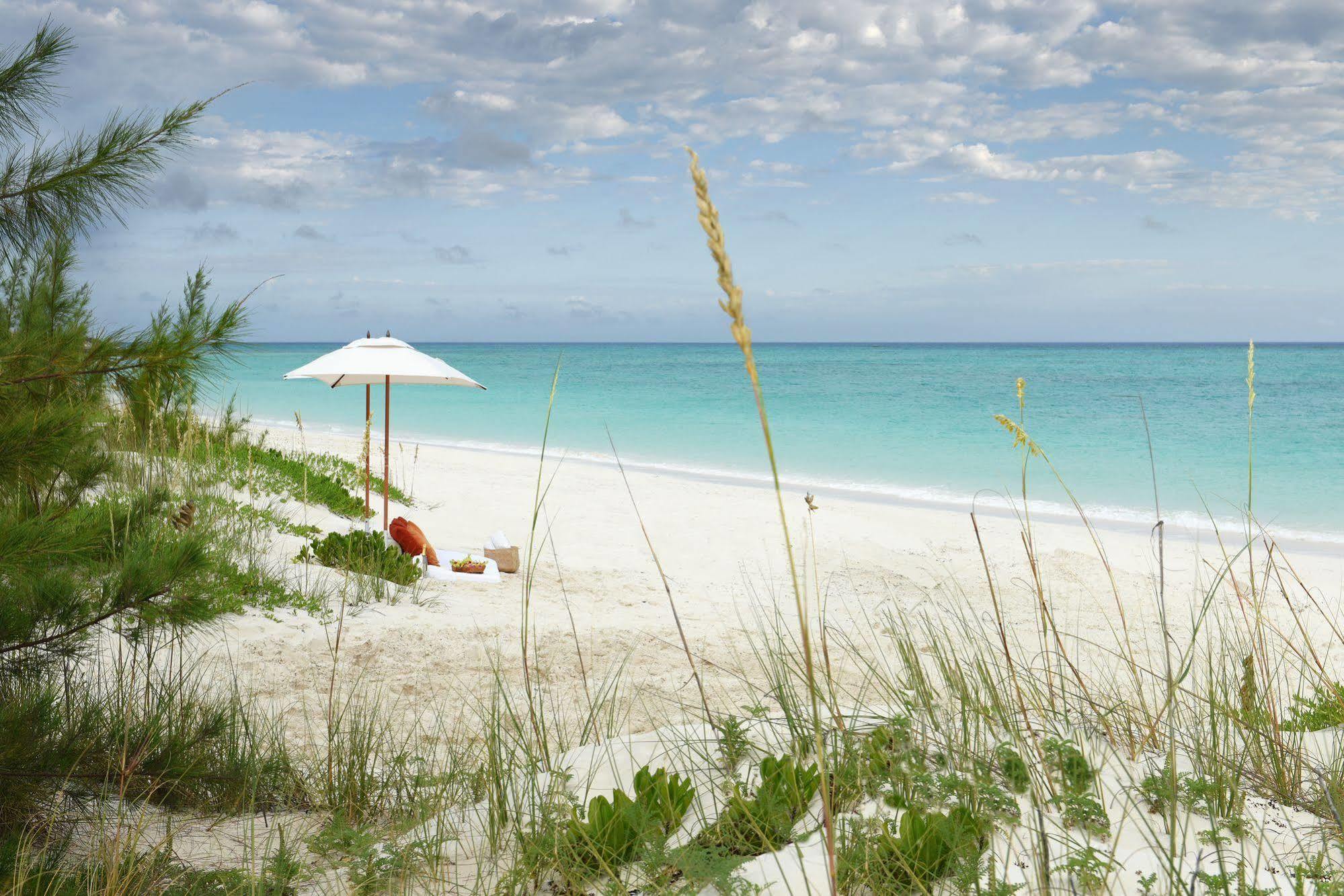 Parrot Cay