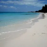 Bungalows At Windsong On The Reef