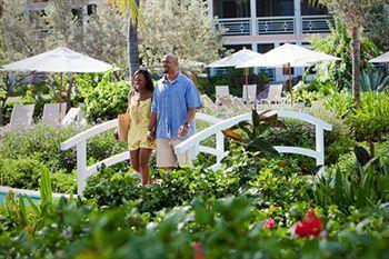 Resort Ocean Club West 4*